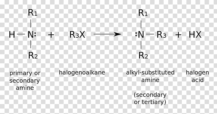 Amine Alkylation Chemical reaction Organic compound Atom, others transparent background PNG clipart