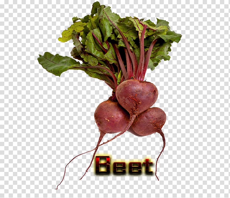 Vegetarian cuisine Organic food Chard Sugar beet Beetroot, vegetable transparent background PNG clipart