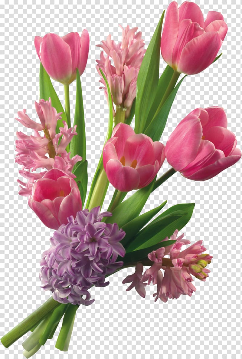 Greeting Happiness Flower bouquet , gladiolus transparent background PNG clipart