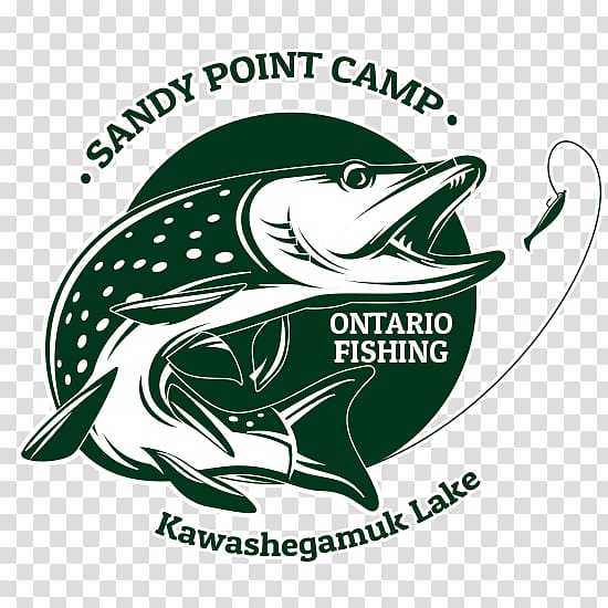 Northern pike Sandy Point Camp Hunting Fishing Walleye, Fishing transparent background PNG clipart