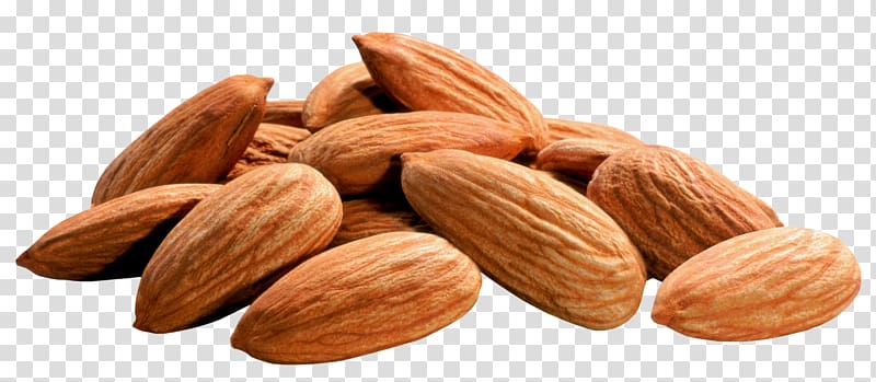 Almond Nut , pistachios transparent background PNG clipart