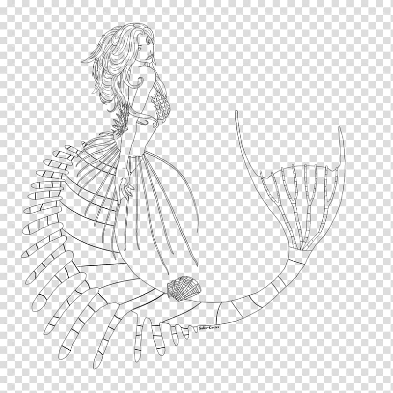 Drawing Line art Finger Sketch, others transparent background PNG clipart