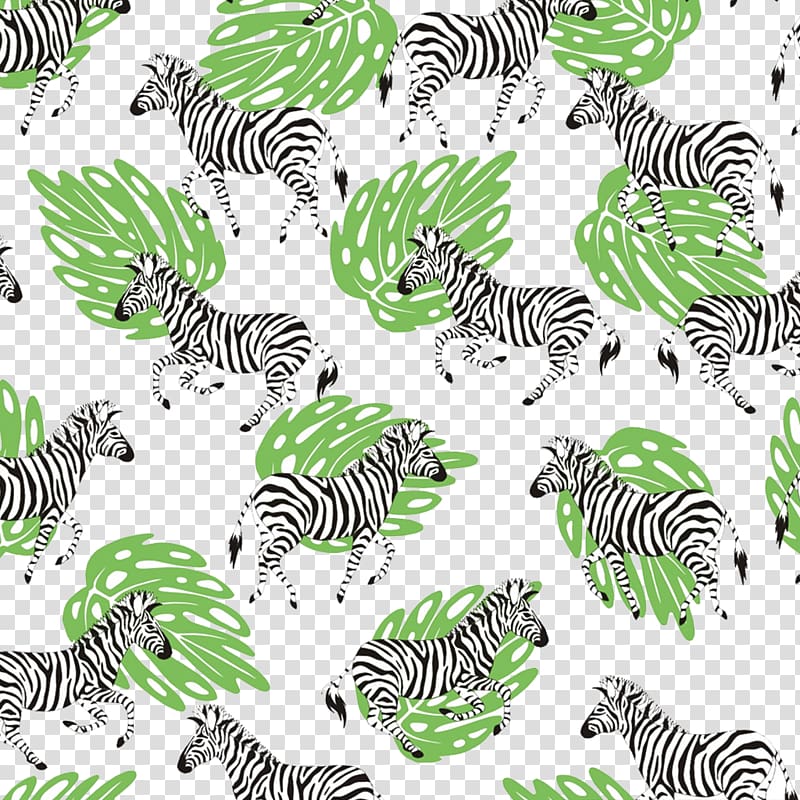 Zebra , Zebra transparent background PNG clipart