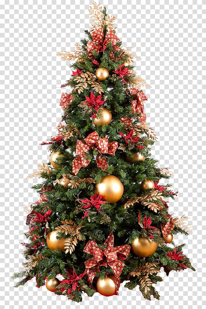 Christmas tree transparent background PNG clipart