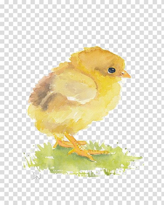 chick water paint illustration, Watercolor painting Chicken Art, chick transparent background PNG clipart