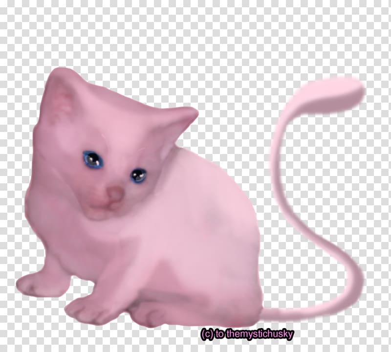 Kitten Mewtwo Cat Whiskers, kitten transparent background PNG clipart