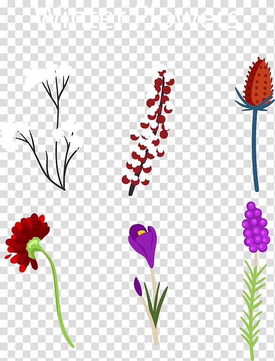 Floral design , Six winter flowers transparent background PNG clipart