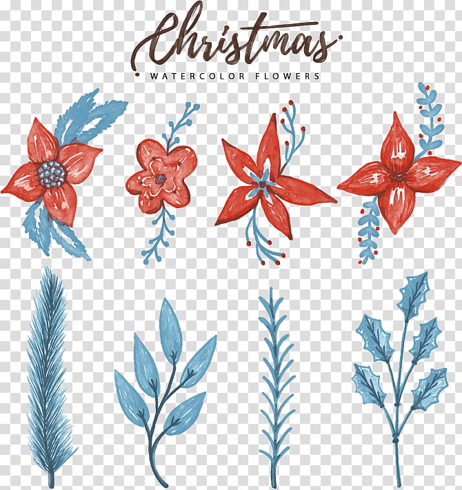 Floral design Christmas Watercolor painting , Watercolor Christmas flower decoration transparent background PNG clipart