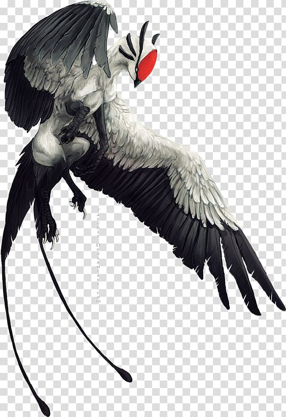 Concept art Fantasy Drawing Legendary creature, Red-billed parrot transparent background PNG clipart