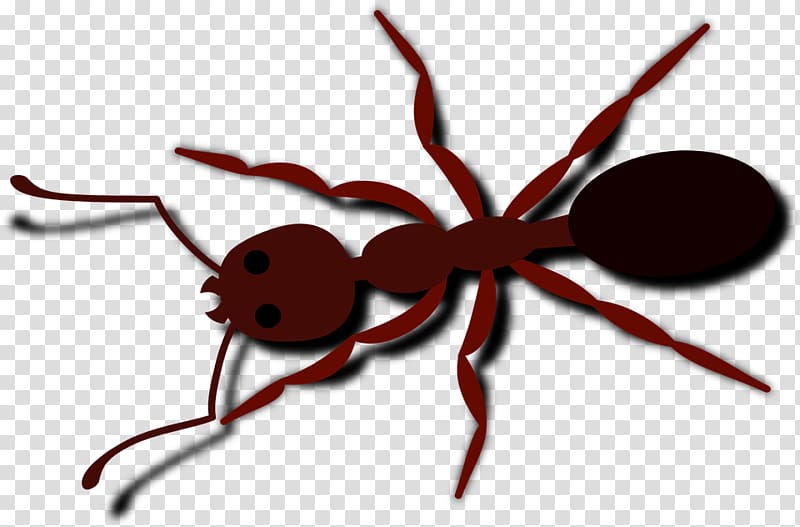 Ant , cartoon ant transparent background PNG clipart