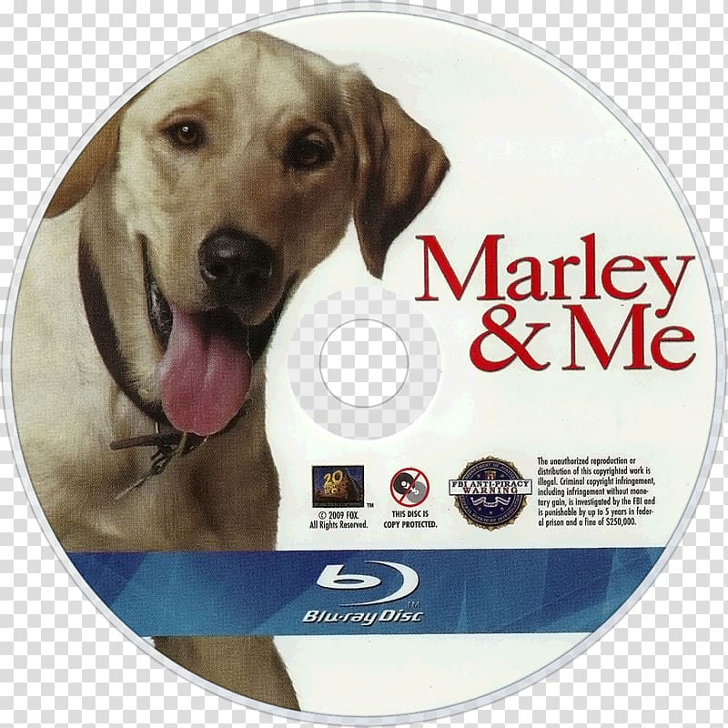 Labrador Retriever Marley & Me: Life and Love with the World's Worst Dog Film, marley transparent background PNG clipart