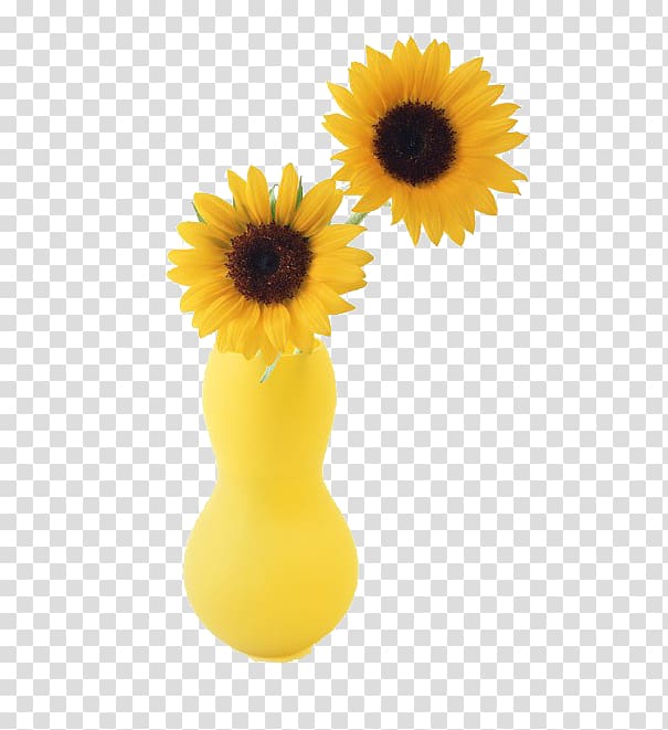 Two Cut Sunflowers Common sunflower Vase, Yellow vase transparent background PNG clipart