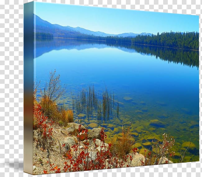 Water resources Ecosystem Painting Lake, painting transparent background PNG clipart