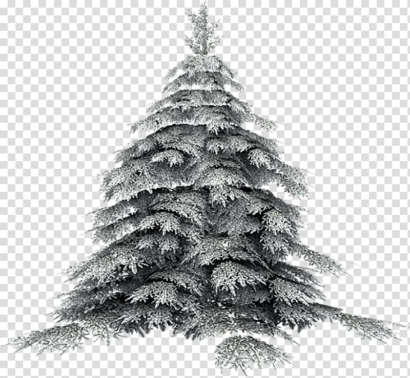 Artificial Christmas tree, snow tree transparent background PNG clipart