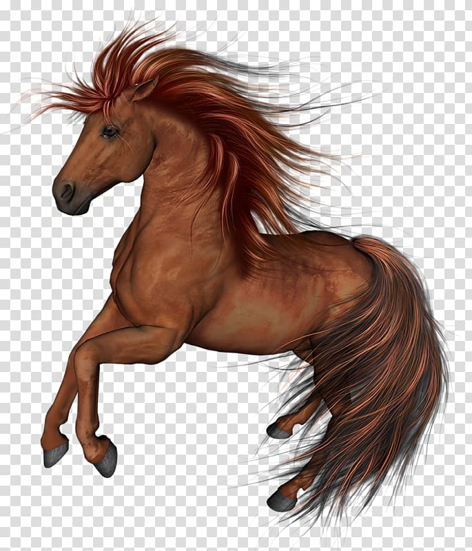 Mustang Arabian horse Thoroughbred , mustang transparent background PNG clipart