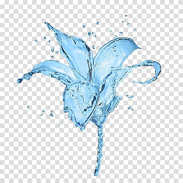 Lilium Blue Drop Flower, Blue ice lily transparent background PNG clipart