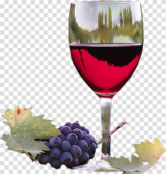 Wine tasting Malbec Winemaking Winery, Wine transparent background PNG clipart