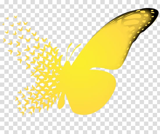 Butterfly effect A Sound of Thunder Chaos theory Causality, butterfly transparent background PNG clipart