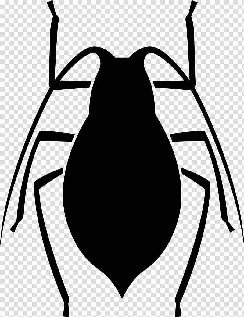 Insect Computer Icons , ladybug transparent background PNG clipart