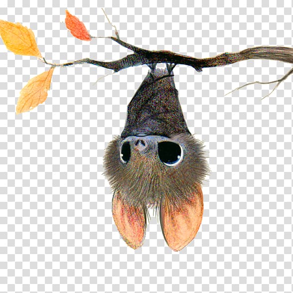 bat and tree branch illustration, Bat Drawing Cuteness Cartoon Illustration, bat transparent background PNG clipart