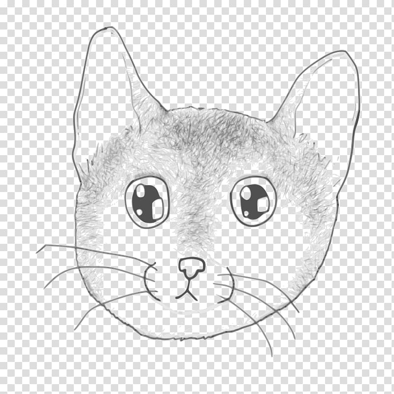 Kitten Whiskers Domestic short-haired cat Tabby cat Wildcat, kitten transparent background PNG clipart