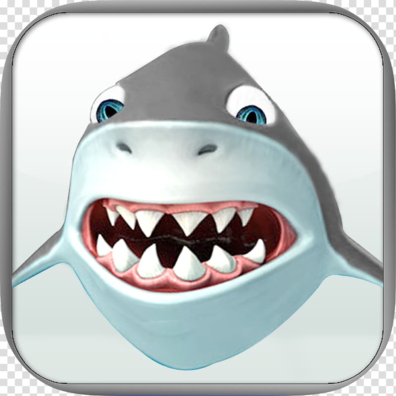 Shark Chondrichthyes Fish iPod touch Tooth, shark transparent background PNG clipart