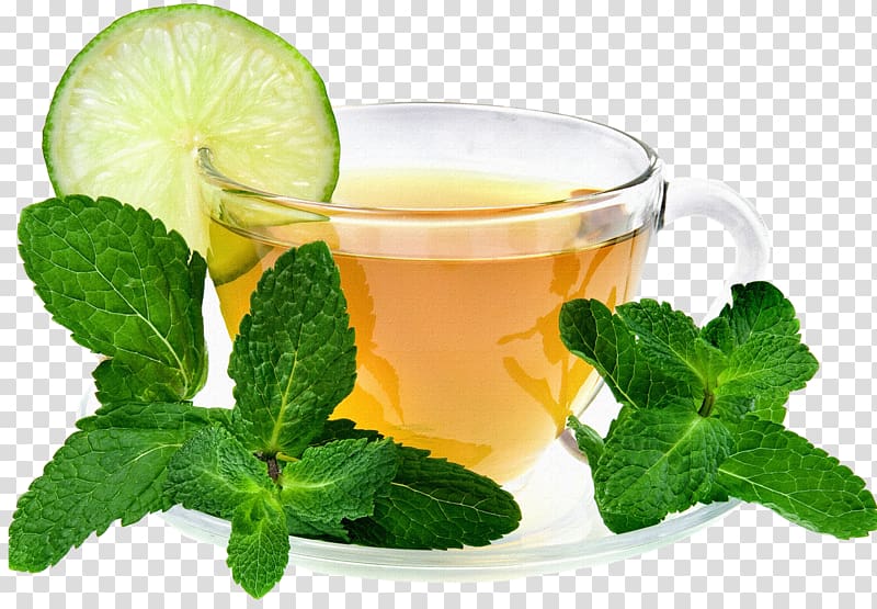 Maghrebi mint tea Green tea Drink, tea transparent background PNG clipart