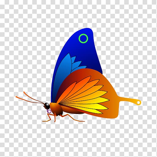 Butterfly QML Drop shadow Qt , butterfly transparent background PNG clipart