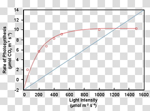 Triangle Document, triangle transparent background PNG clipart thumbnail
