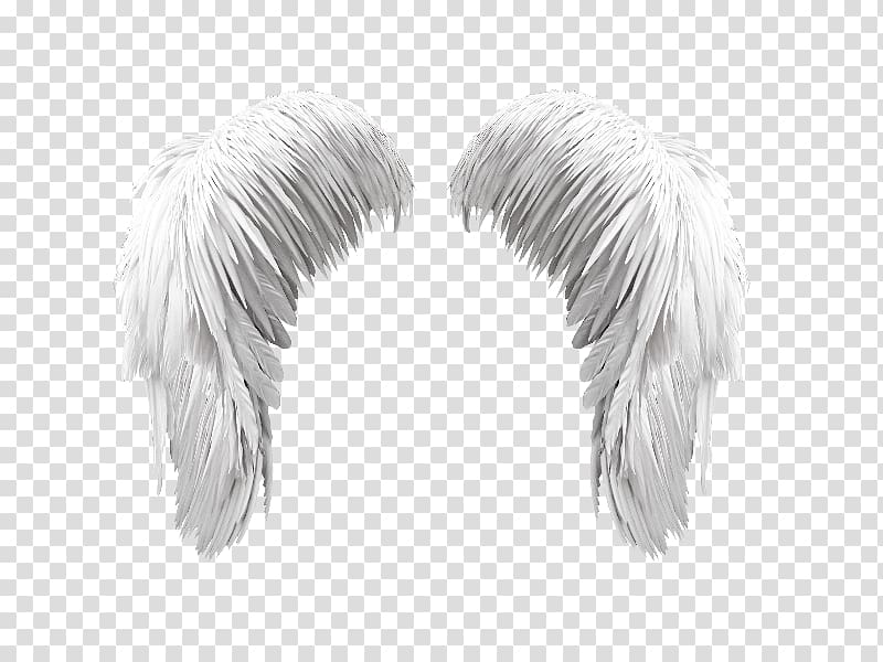 Wing Ma liberté Feather, angel wings icon transparent background PNG clipart