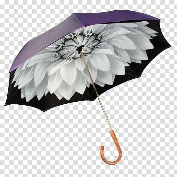 Umbrella Auringonvarjo Raincoat Fashion accessory, Umbrella transparent background PNG clipart