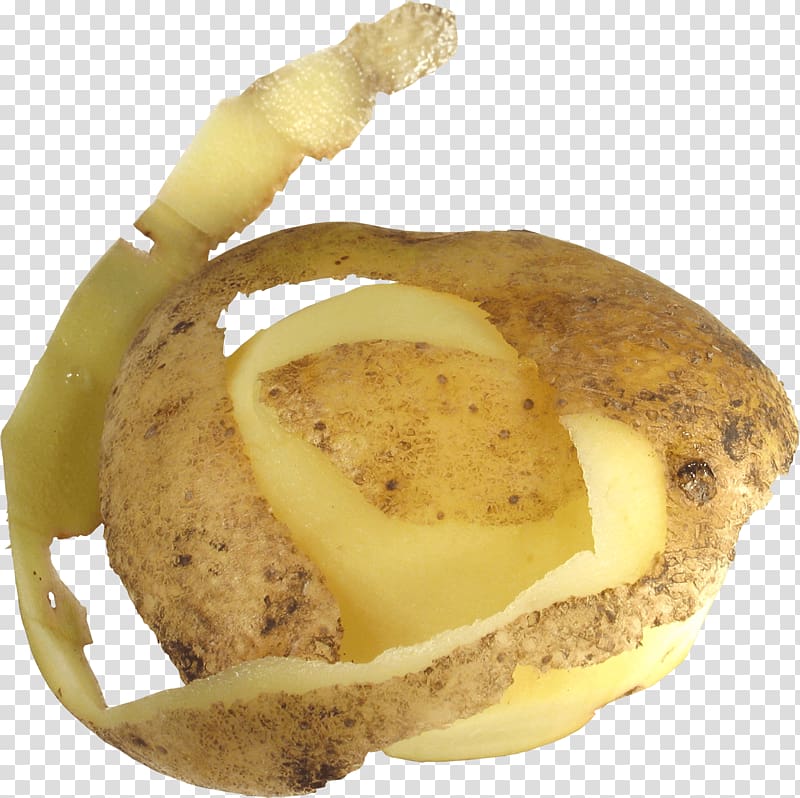 Potato , Potato transparent background PNG clipart