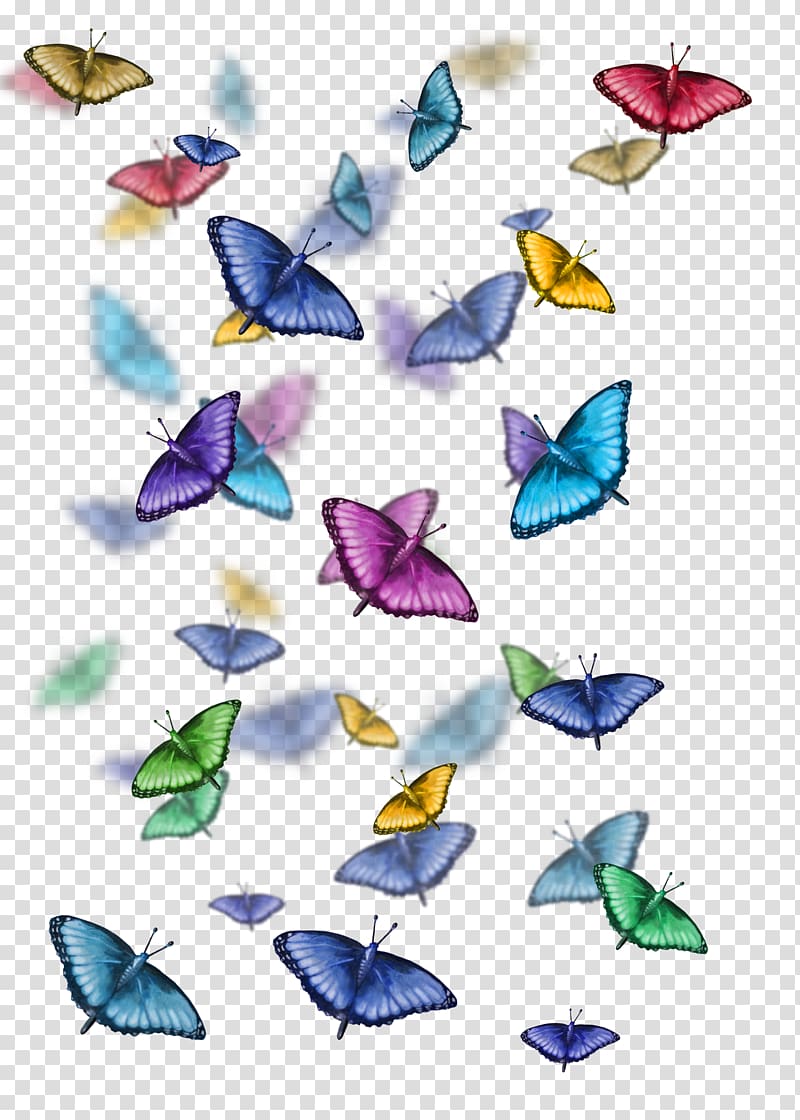 Butterfly Giraffe Animal , tattoo pattern transparent background PNG clipart
