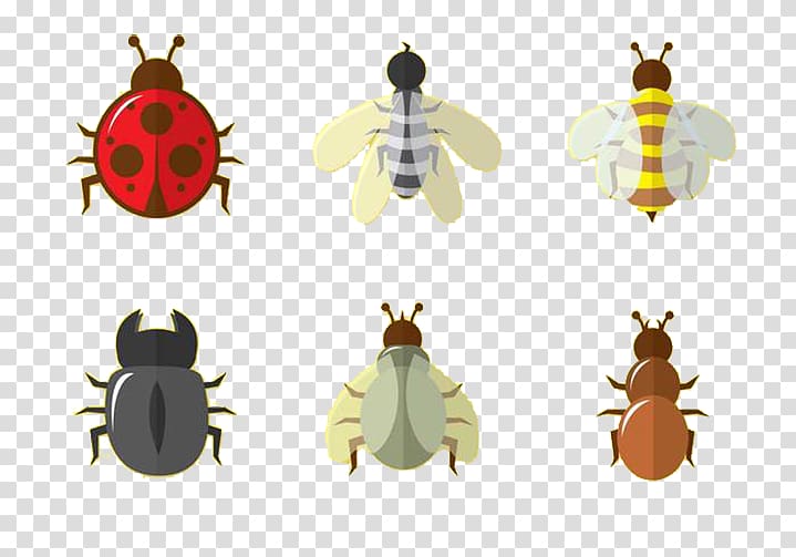 Insect Bee Euclidean Ladybird, Ladybird insect grasshopper bee transparent background PNG clipart