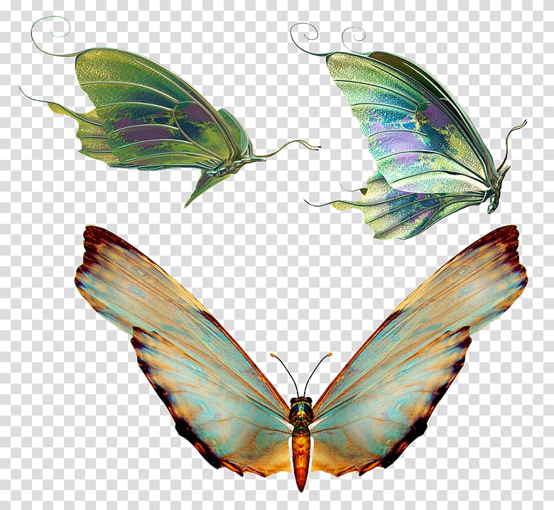 Butterfly Insect, mariposas transparent background PNG clipart
