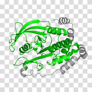 Line , design transparent background PNG clipart thumbnail