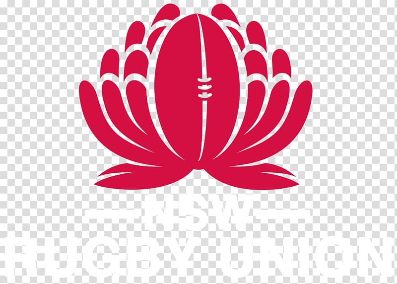 New South Wales Waratahs 2018 Super Rugby season Queensland Reds Blues Australia national rugby union team, others transparent background PNG clipart