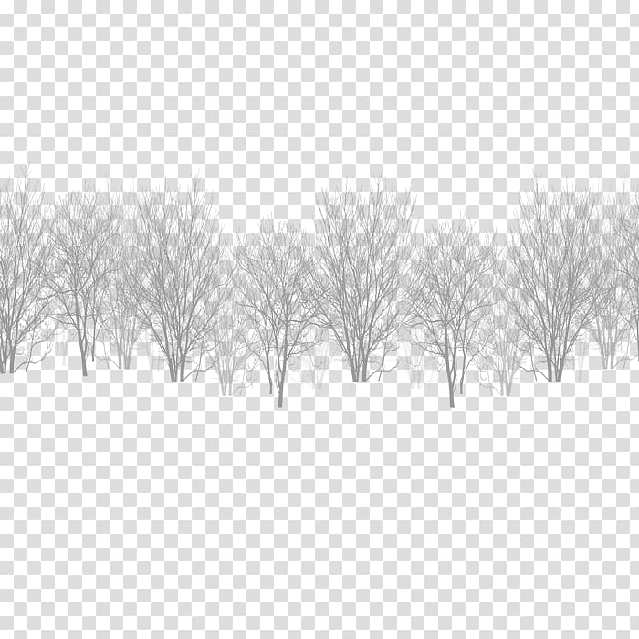 leafless plant illustration, White Black Winter Sky, Winter cedar transparent background PNG clipart