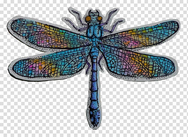 Artist Drawing Dragonfly Storenvy, dragonfly transparent background PNG clipart