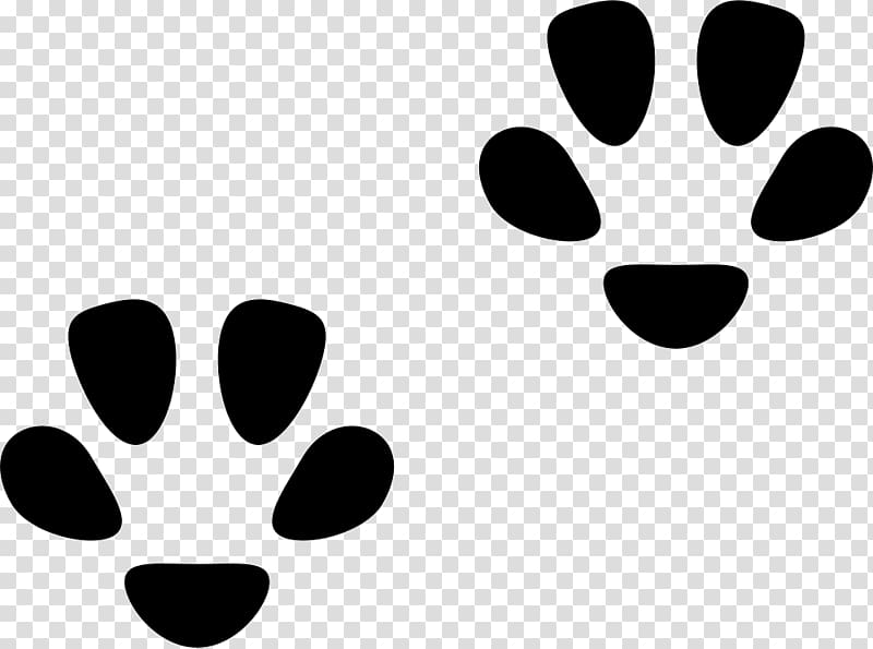 Cat Felidae Footprint Paw , Cat transparent background PNG clipart