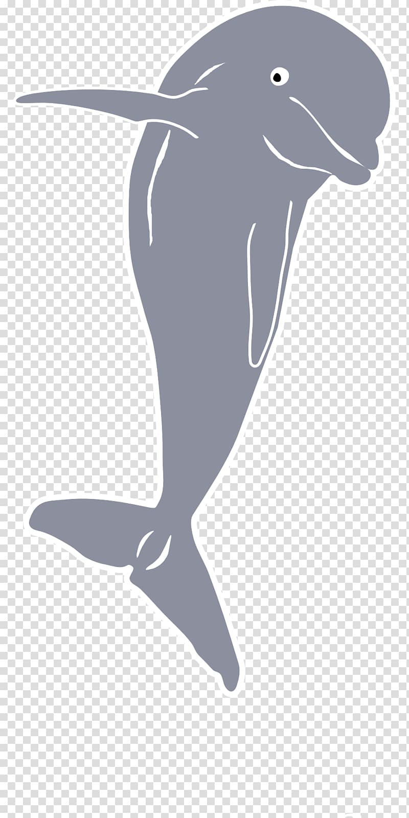 Dolphin, Dolphin Baby Whale , dolphin transparent background PNG clipart