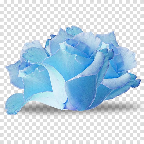 Blue rose Flower Paper, flower transparent background PNG clipart