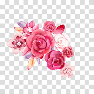 Script typeface OpenType Font, Hand painted watercolor flower decoration transparent background PNG clipart thumbnail