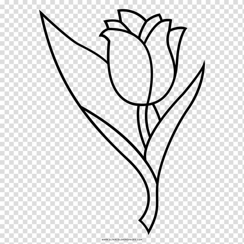 Floral design Tulip Drawing Flower Coloring book, tulip transparent background PNG clipart