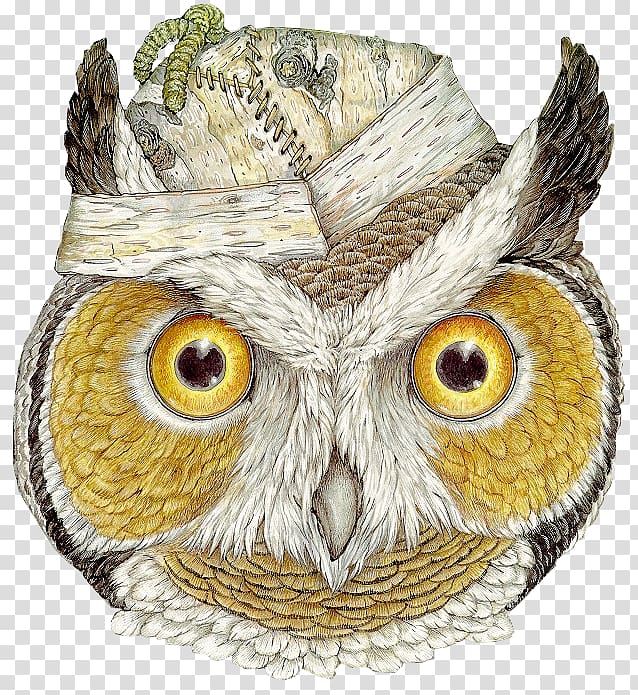 The Owl and the Pussycat The mitten The Hat Mask, owl transparent background PNG clipart