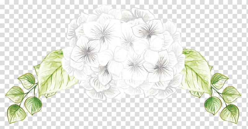 hand-painted flowers transparent background PNG clipart