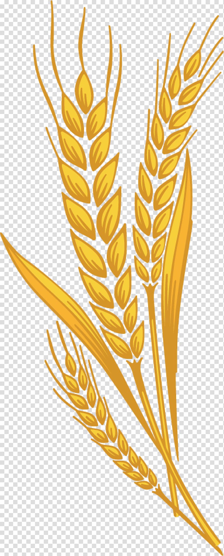 Muffin Emmer Common wheat Cereal germ , wheat transparent background PNG clipart