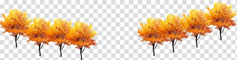 Tree Computer file, Autumn golden tree decoration transparent background PNG clipart