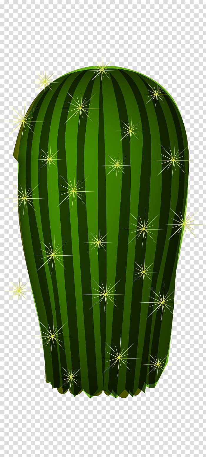 Cactaceae, cute cactus plant transparent background PNG clipart