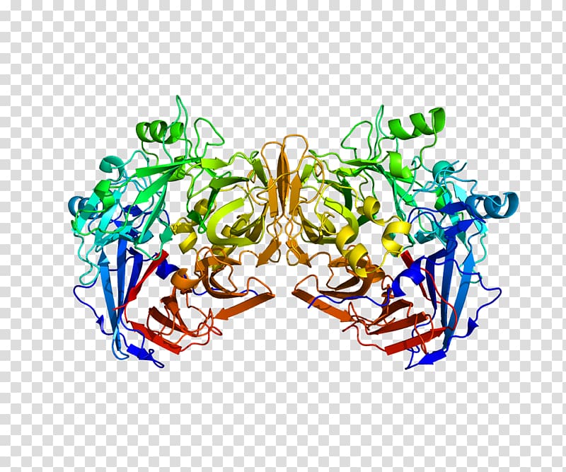 RPE65 Retinal pigment epithelium Visual transduction Protein, therapy transparent background PNG clipart